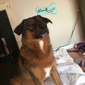 Meet your Posher, Rachel